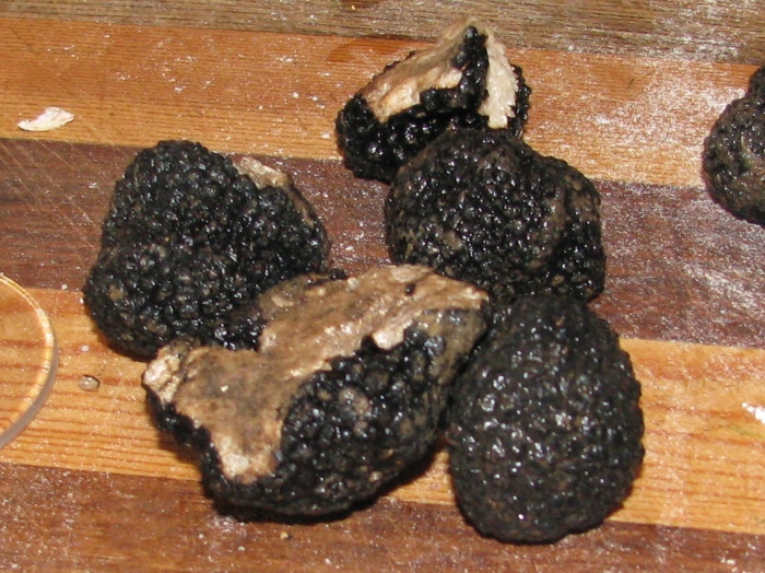 Tartufi Neri - Real Black Truffles